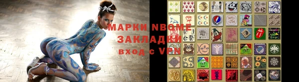 шишки Белокуриха