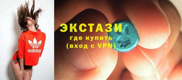 шишки Белокуриха