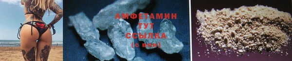 шишки Белокуриха
