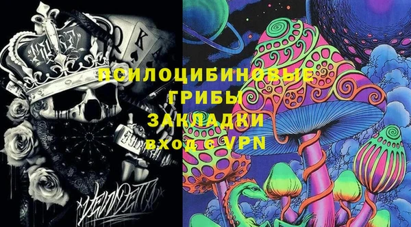 шишки Белокуриха