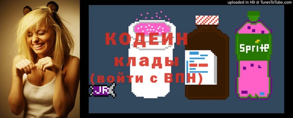 шишки Белокуриха