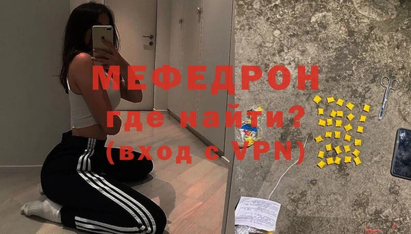 шишки Белокуриха