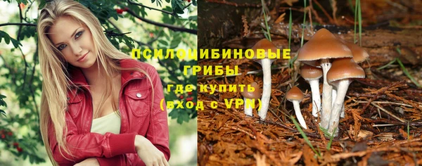 СК Беломорск