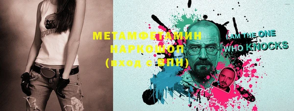 шишки Белокуриха