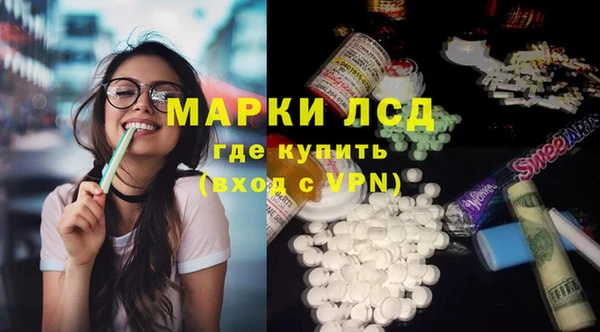 шишки Белокуриха