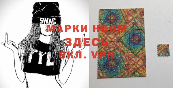 шишки Белокуриха