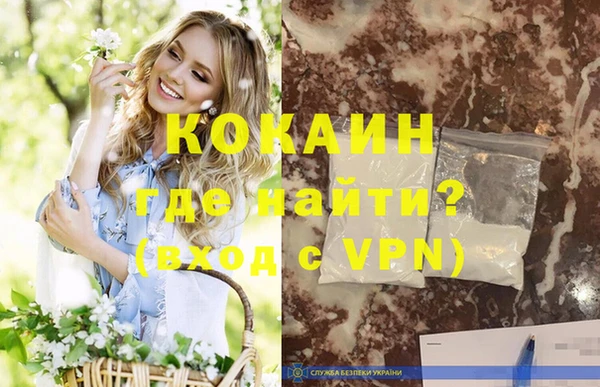 шишки Белокуриха