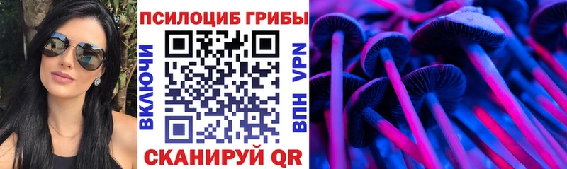 наркота  Санкт-Петербург  Галлюциногенные грибы ЛСД 